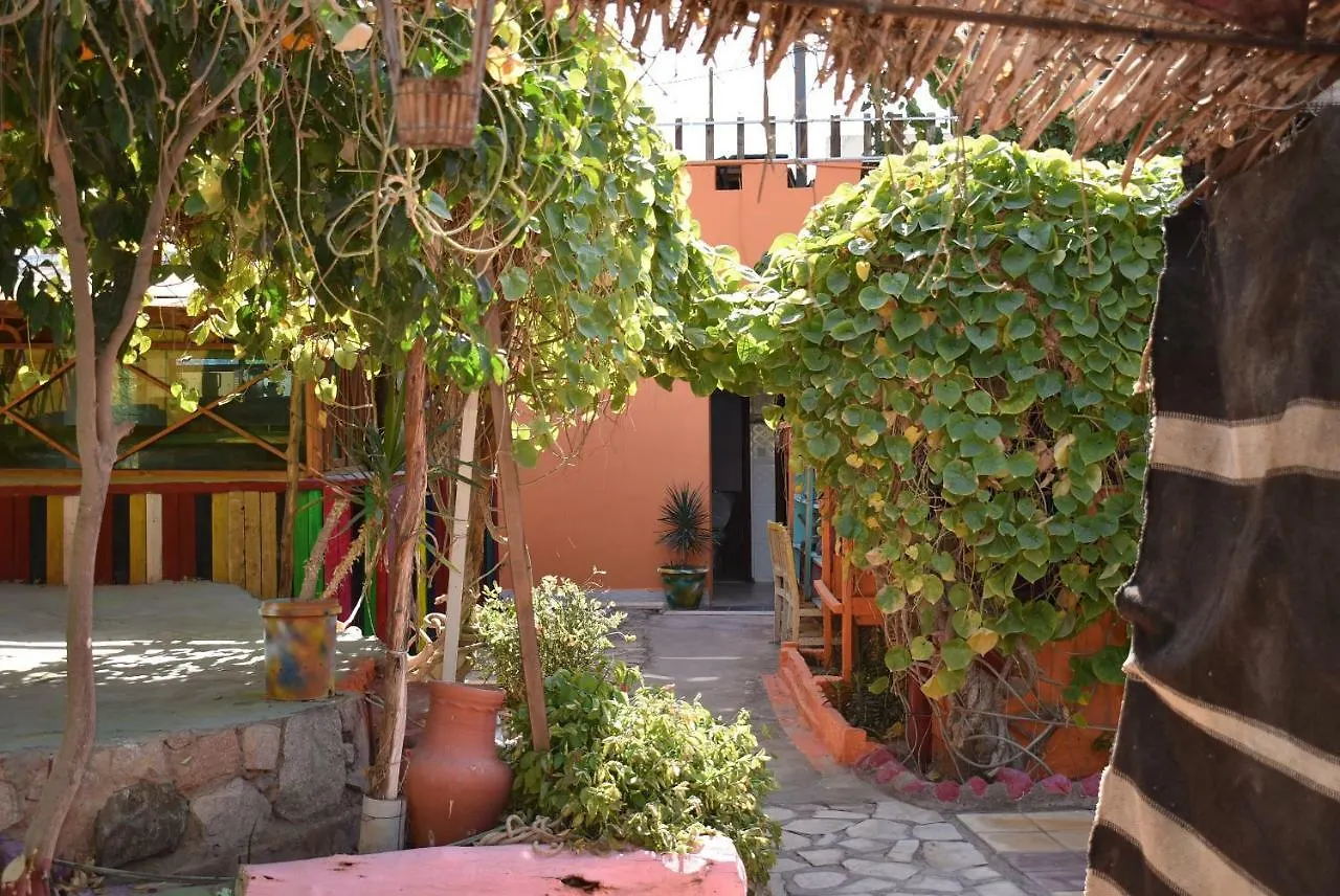 Bedouin Garden Village, Hotel Dive Aqaba Pensiune