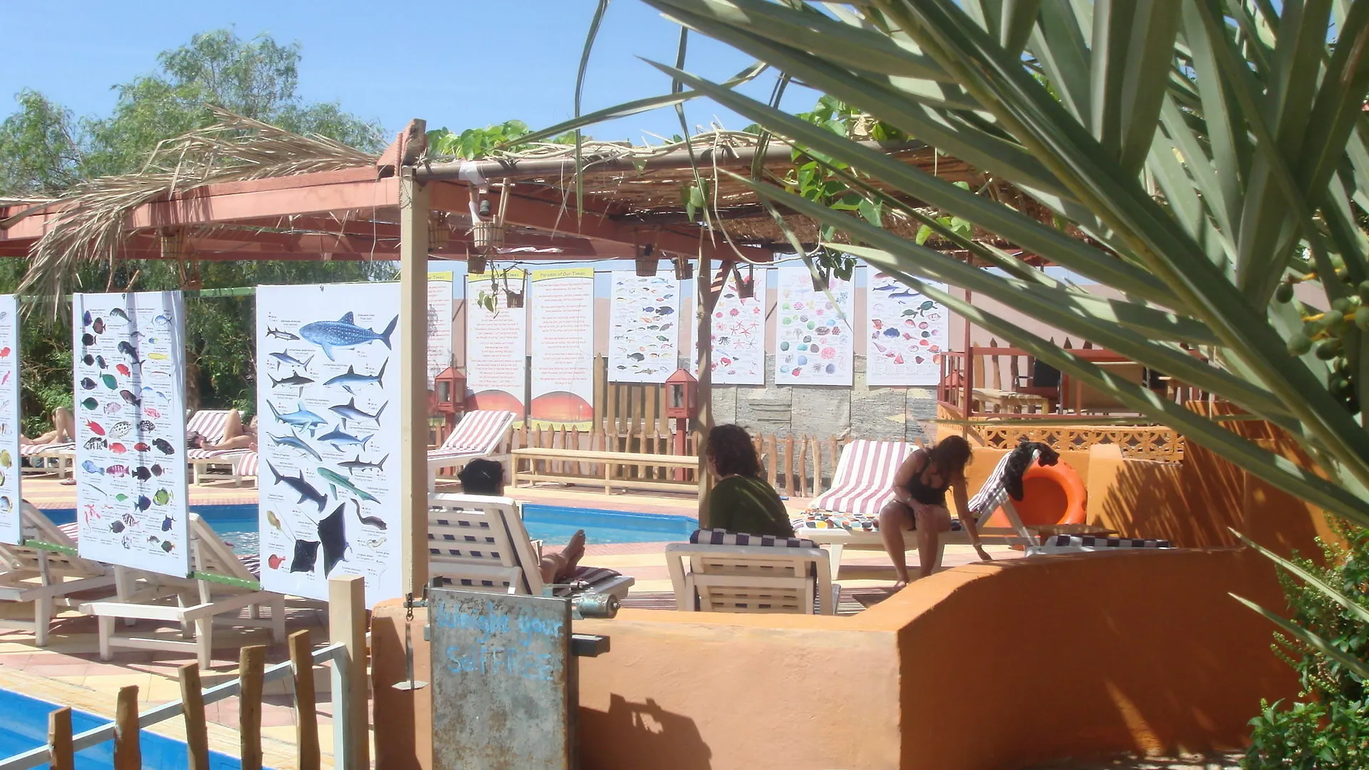 Bedouin Garden Village, Hotel Dive Aqaba Pensiune